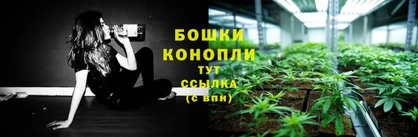 МДПВ Осташков
