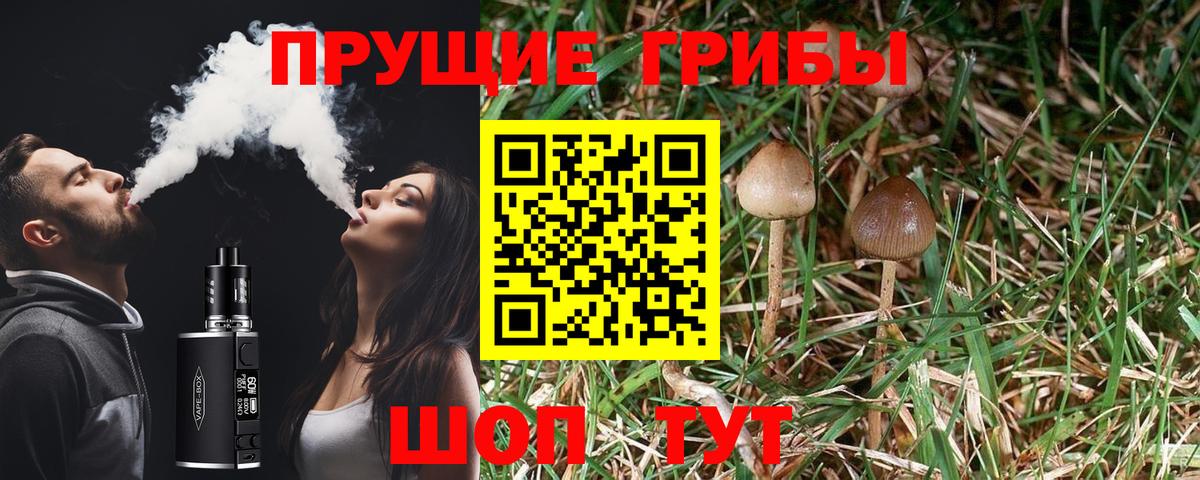 Псилоцибиновые грибы мухоморы  Вход с VPN  Псилоцибиновые грибы ЛСД  Симферополь 