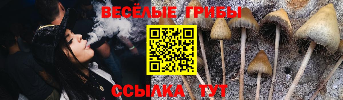 Галлюциногенные грибы Psilocybe Симферополь